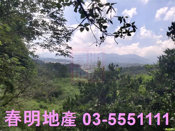 峨眉農地-7