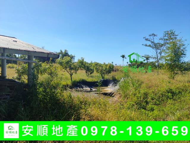成功農地-8