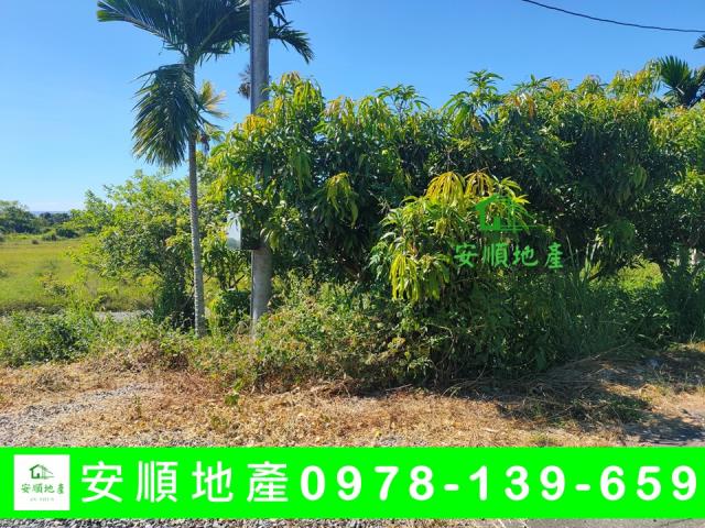 成功農地-6