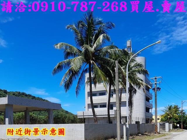 台東大武建地-7
