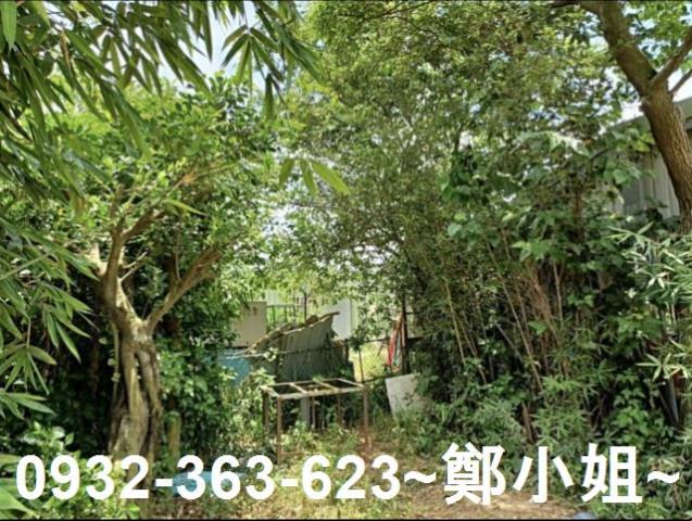 桃園新屋農地-1