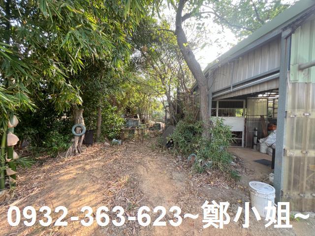 桃園新屋農地-6