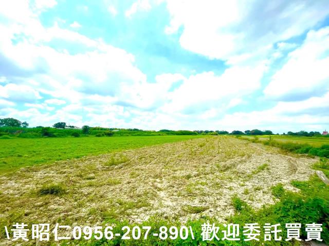 善化農地-0