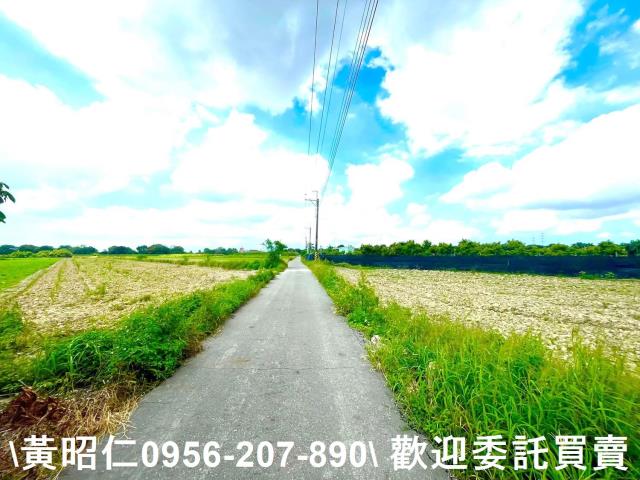 善化農地-1