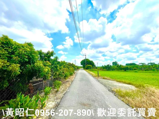 善化農地-2