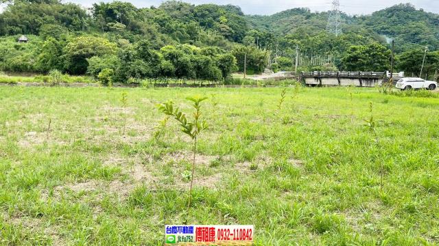 新竹關西農地-7