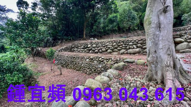 芎林農地-6