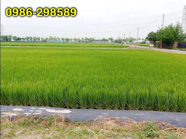 台南白河農地-1