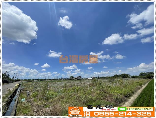 大林農地-4