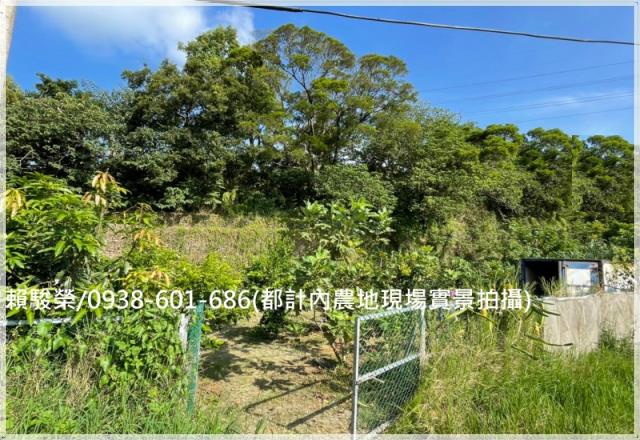 桃園楊梅都計內農地售