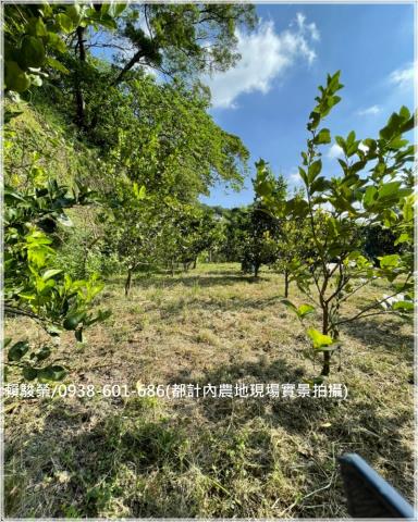 桃園楊梅都計內農地售