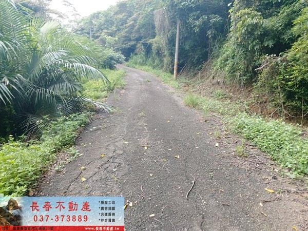 頭屋農地-2
