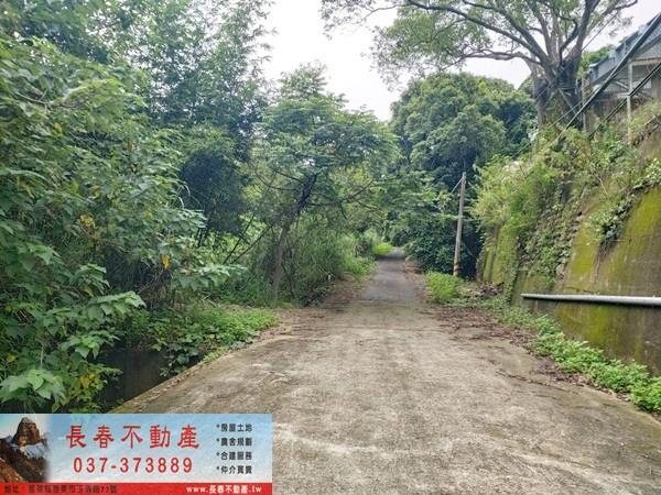 頭屋農地-3