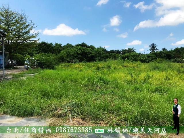 安南農地-3