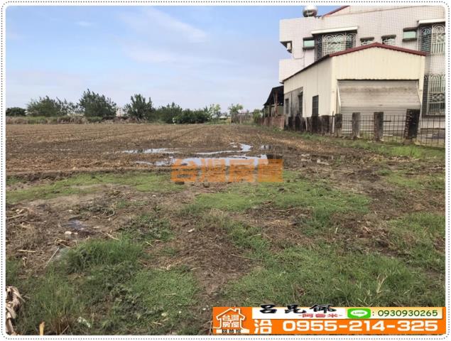 西區農地-1