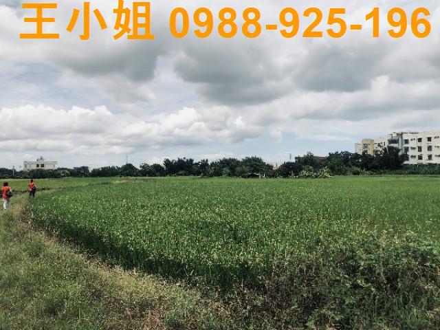 桃園蘆竹農地-10