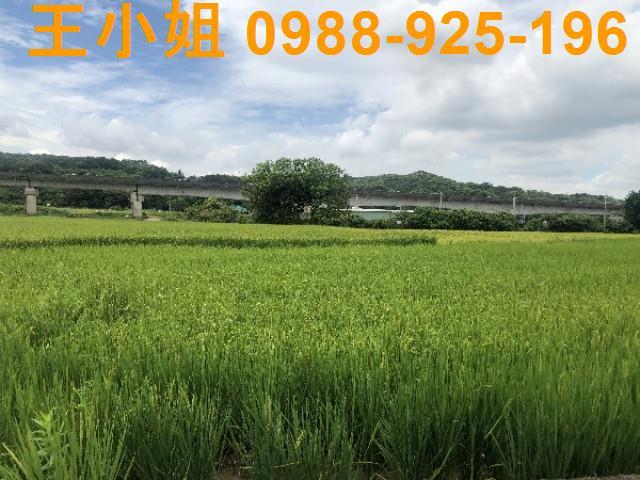 桃園蘆竹農地-10