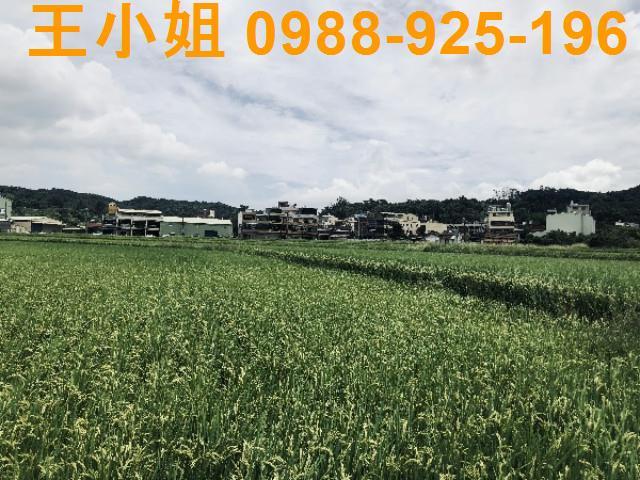 桃園蘆竹農地-8