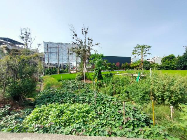 彰化溪湖建地-2
