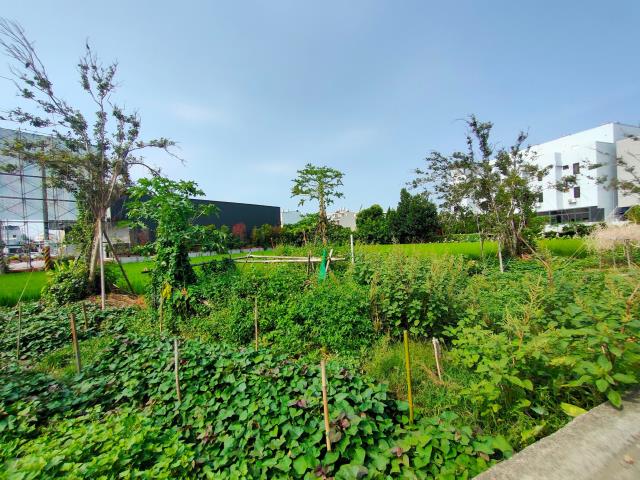 彰化溪湖建地-3