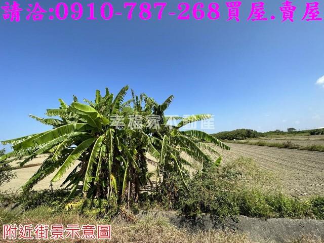 台南將軍農地-8