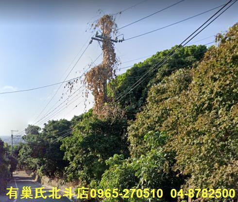 彰化社頭農地-0