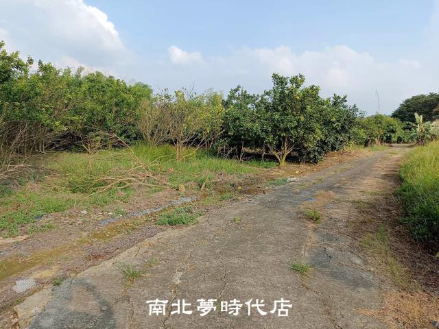 左鎮農地-0