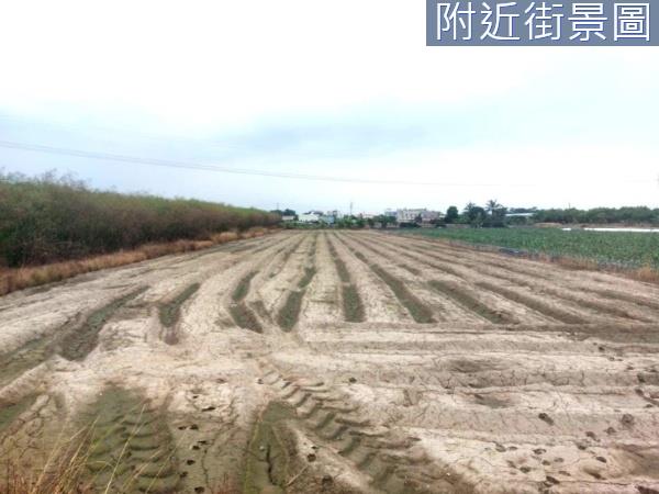 台南新市農地-4