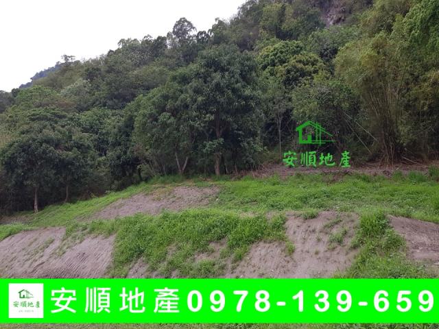 台東東河農地-1