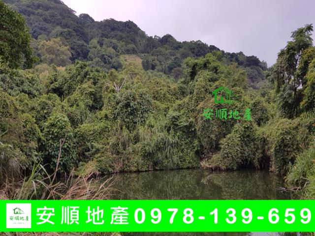 成功農地-0