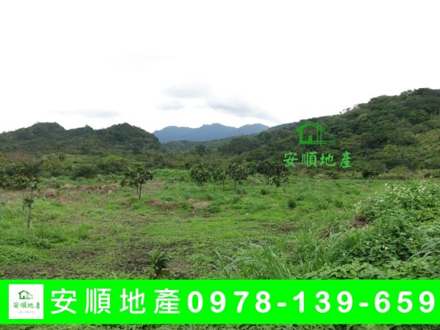成功農地-3