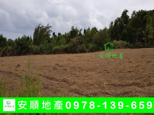 長濱農地-2