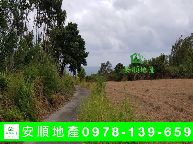 長濱農地-4