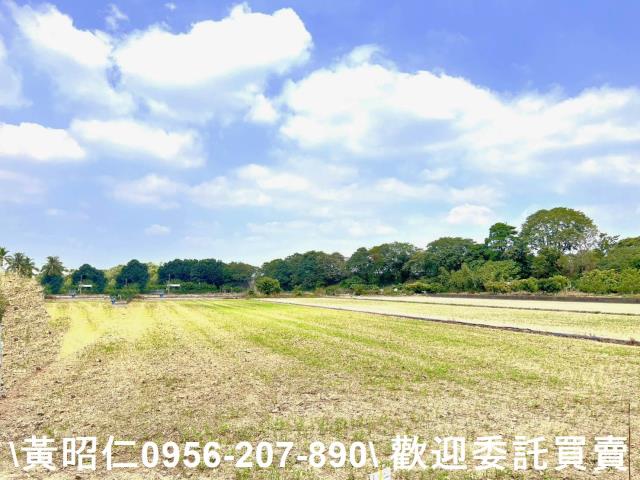 台南新化農地-5