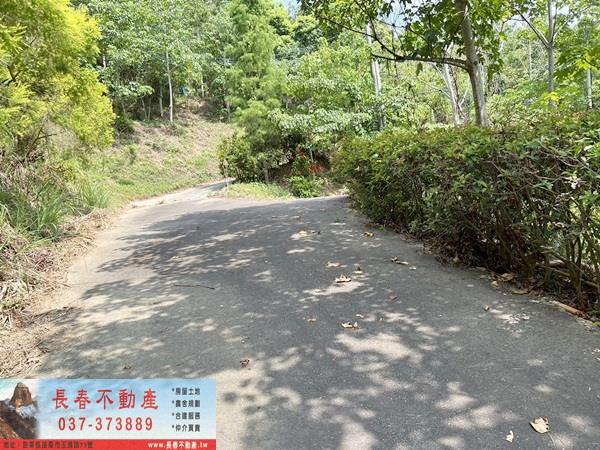 苗栗農地-9