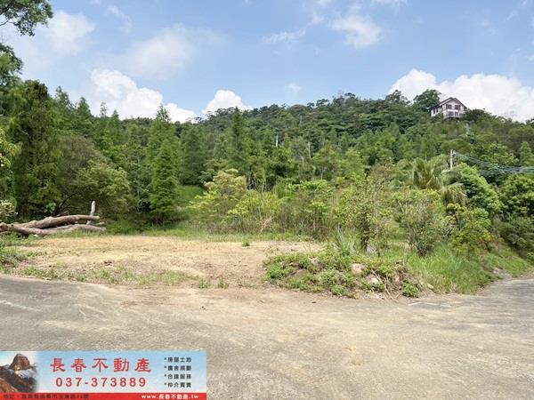 頭屋農地-0