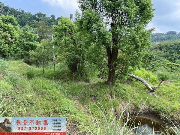 頭屋農地-3