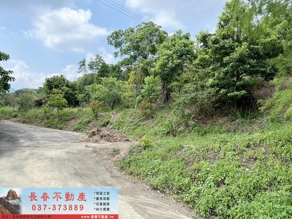 頭屋農地-4