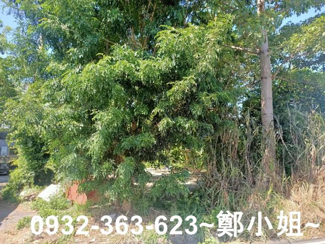 桃園桃園區農地-2