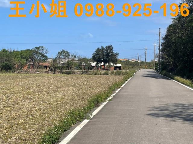 桃園觀音農地-4
