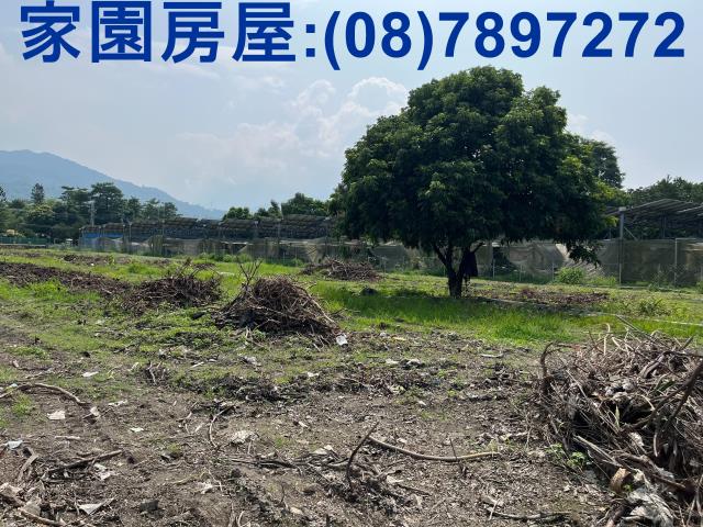 屏東萬巒農地-2