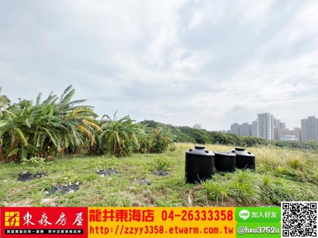台中西屯農地-5