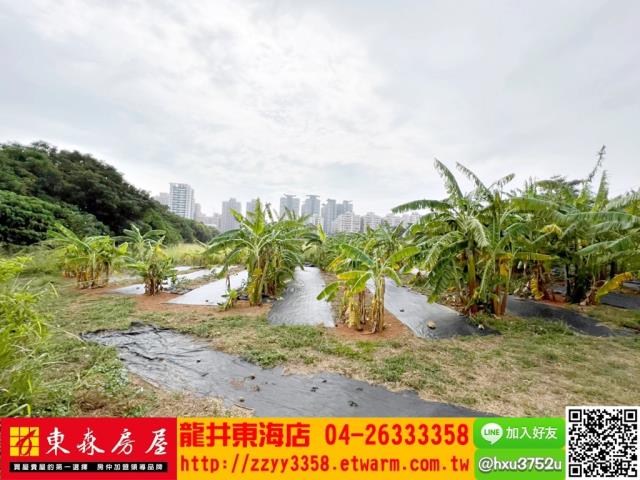 台中西屯農地-6