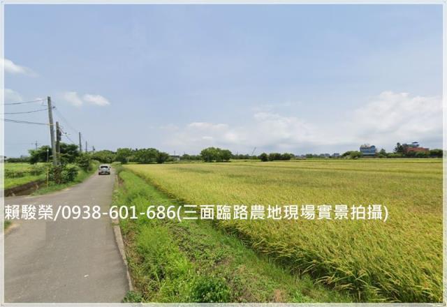 大園和平段農地出售