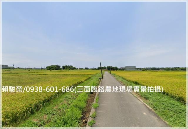 大園和平段農地出售