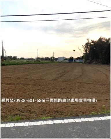 大園和平段農地出售