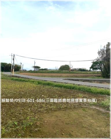 大園和平段農地出售