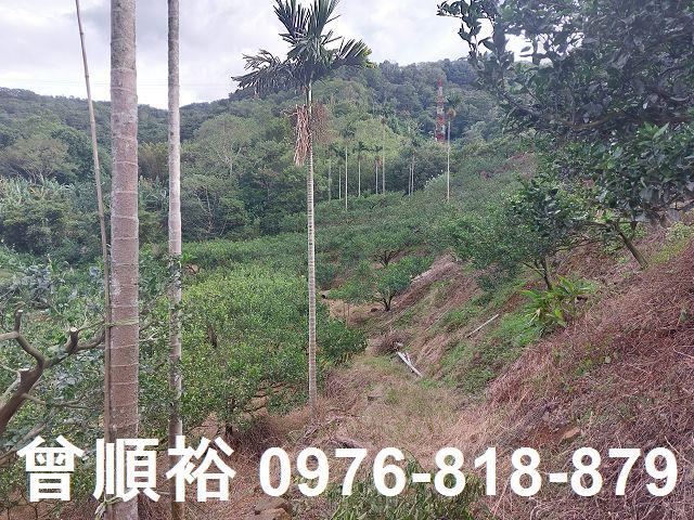 新竹農地-9