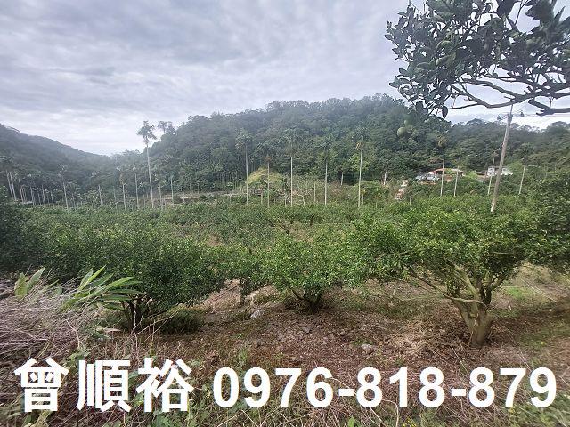 新竹農地-10