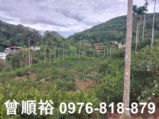 新竹農地-0